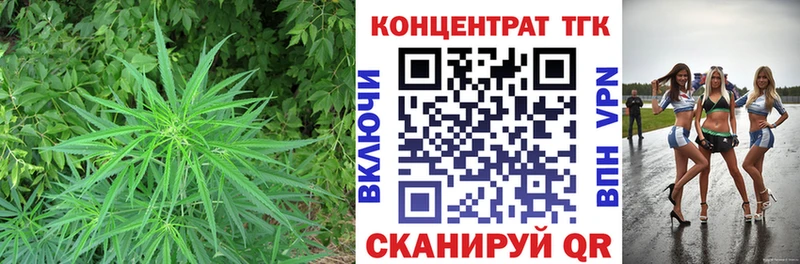 Дистиллят ТГК Wax  Купить закладки  Неман 
