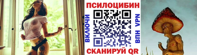 Купить где  Неман  Псилоцибиновые грибы прущие грибы 
